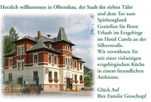 Hotel Carola Олбернау Екстериор снимка